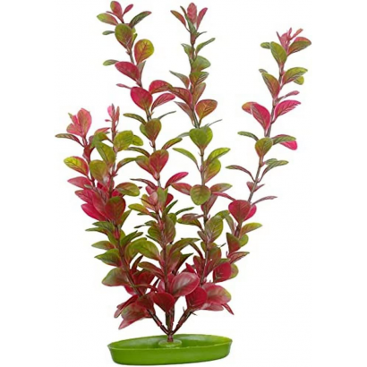 Ludwigia Planta Plastica 30 Cm