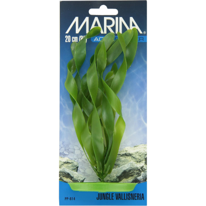 Jungle Vallisneria Planta...