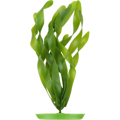 Jungle Vallisneria Planta...
