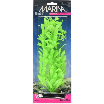 Planta Plastica Hygrophilia...