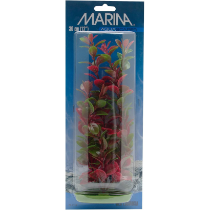 Ludwigia Planta Plastica...