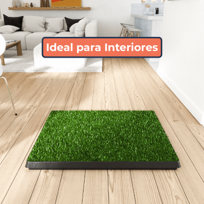 Repuesto para Baño de Pasto...