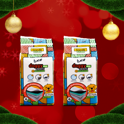 Oferta - 2 Pads Luca