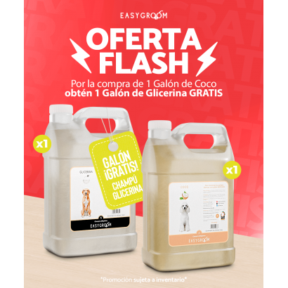 Champú De Coco Galón +...