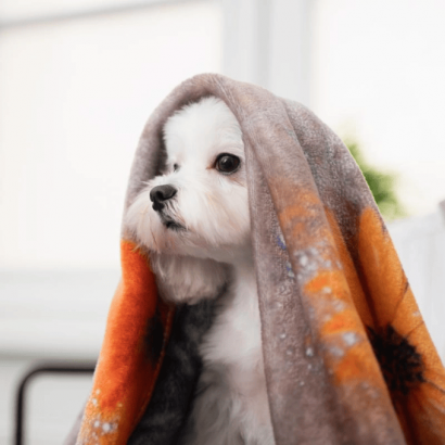 Manta de tela suave 60x70 cm