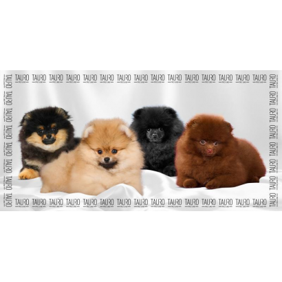 Toalla de microfibra,...