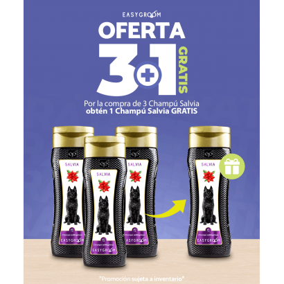 3+1 Champú de Salvia Easygroom