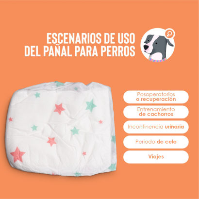 Pañales para Hembra - S 12u...