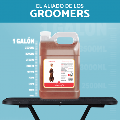 Champú de Germen Trigo y...