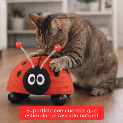 Rascador para Gato – Diseño...