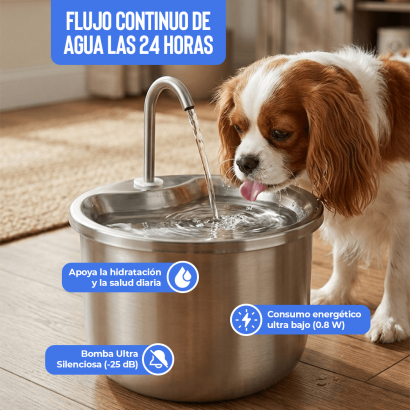 Fuente de Agua 2L - Acero...
