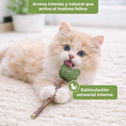 Paleta de Catnip – Forma de...