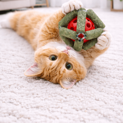 Bola Interactiva de Catnip