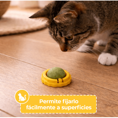 Bola de Catnip con Fijación...