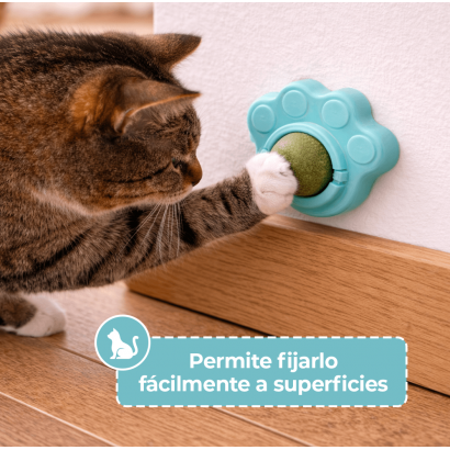 Patita de Catnip con...