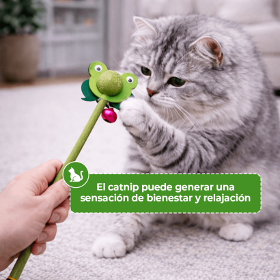 Varita de Catnip con...