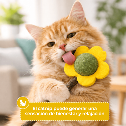 Juguete para Gatos con...