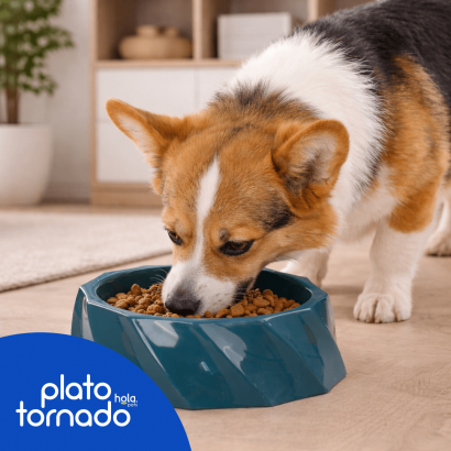 Plato Tornado Hola Pets -...