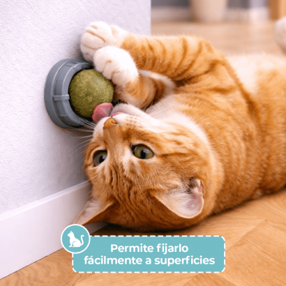 Bola de Catnip para Pared
