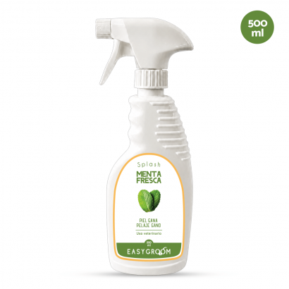 Splash Menta Fresca...