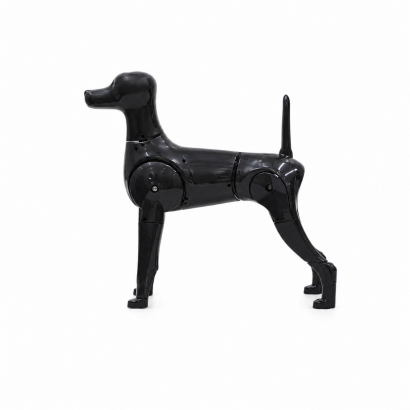 Maniquí de Cuerpo de Poodle