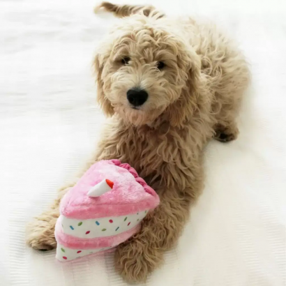 Peluche Pastel de...