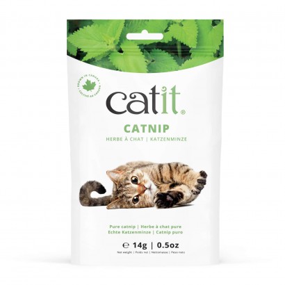 Catnip 14 g Cat It