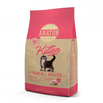 Kitten - Araton