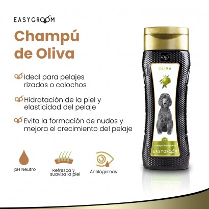 Champú De Oliva Easygroom